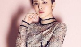 刘爽被女友爆料视频播放,真相与争议的漩涡